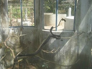 reptiles farm